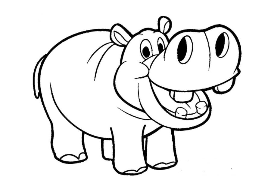 ▷ Los Mejores Dibujos de Hipopótamos para Colorear ☀️