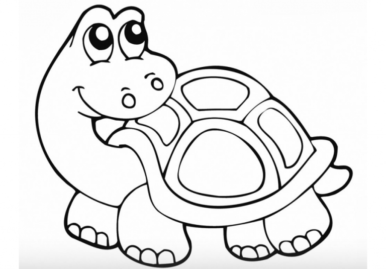 Los Mejores Dibujos de Tortugas para Colorear ☀️